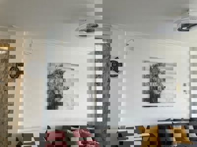 Decorated living room in Buenavista The Blue Oyster, Los Gigantes, featuring modern and cozy furniture.