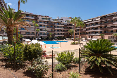 Garden areas surrounding the pool in Los Gigantes, Tenerife.