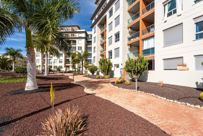 Beautiful garden with flowers and green grass in a vacation rental in the Canary Islands, Spain