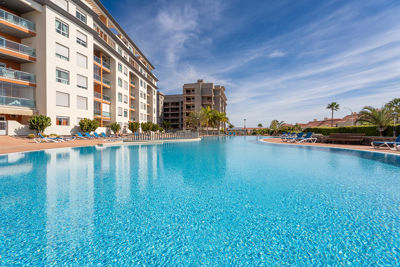 Spacious swimming pool surrounded by loungers and palm trees in a vacation rental apartment in the Canary Islands, Spain