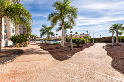 Spacious garden with grass and direct beach access at La Vista del Mar apartment, Canary Islands