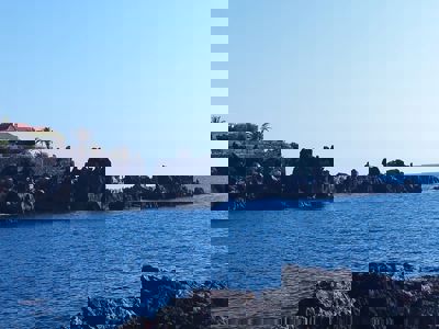 Outdoor area featuring a serene sea and lush greenery at Sol del Sur Ocean View, Canary Islands