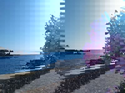 Spacious outdoor area with sea views and lounging spots at Sol del Sur Ocean View apartment, Canary Islands