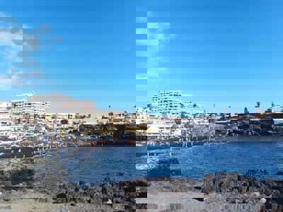 Spacious outdoor space with sea views, surrounded by greenery at Sol del Sur Ocean View, Canary Islands