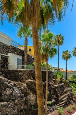 Beautiful outdoor area featuring trees and relaxing views at Sol del Sur Ocean View vacation rental, Canary Islands.